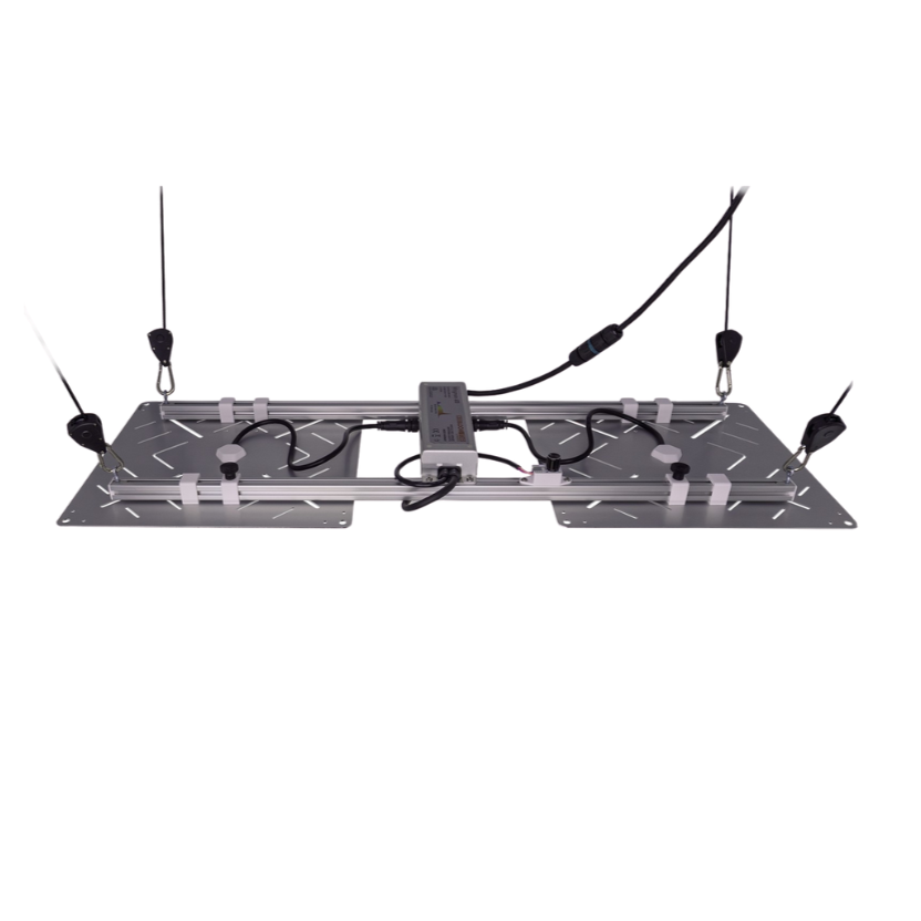 BloomStar Wingman 600