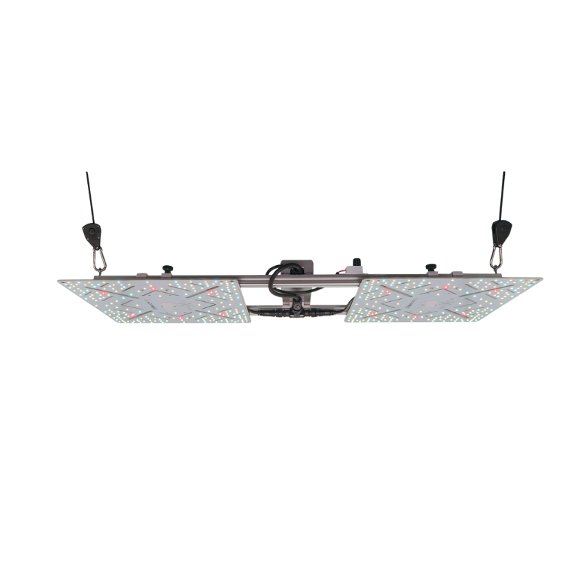 BloomStar Wingman 600
