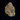 Wizard Trees Potion Feminisierte Hanfsamen - Ansicht 2