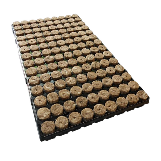 Speedgrow Green 126er Tray Ø28mm / 40mm
