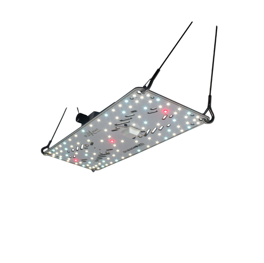 BloomStar FLUXshield Habibi 150 - 50W Vollspektrum