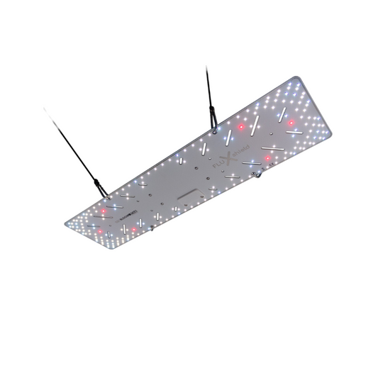 BloomStar FLUXshield 300L - 100W