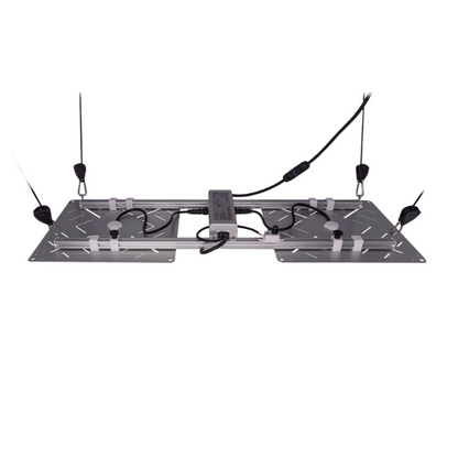 BloomStar Wingman 600