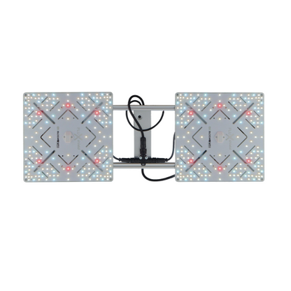 BloomStar Wingman 600