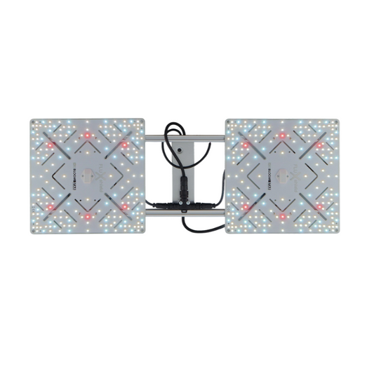 BloomStar Wingman 600