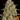 Barneys Farm Amnesia Lemon Samen