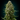 WEEDLINGS© Northern Lights Hanfsamen - Autoflowering