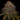 WEEDLINGS© Kali Mist Hanfsamen