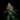 WEEDLINGS© Nothern Lights Hanfsamen