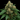 WEEDLINGS© Cream Caramel Hanfsamen - Autoflowering