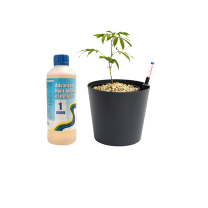 Bubatztopf Starter-Set – mit Hanfsteckling & Advanced Hydroponics Grow (1 L)