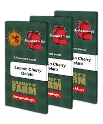 Lemon Cherry Gelato Samen (Barney´s Farm)