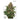 Dutch Passion Strawberry Cough Feminisierte Hanfsamen