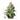 Dutch Passion Euforia Hanfsamen - Autoflowering